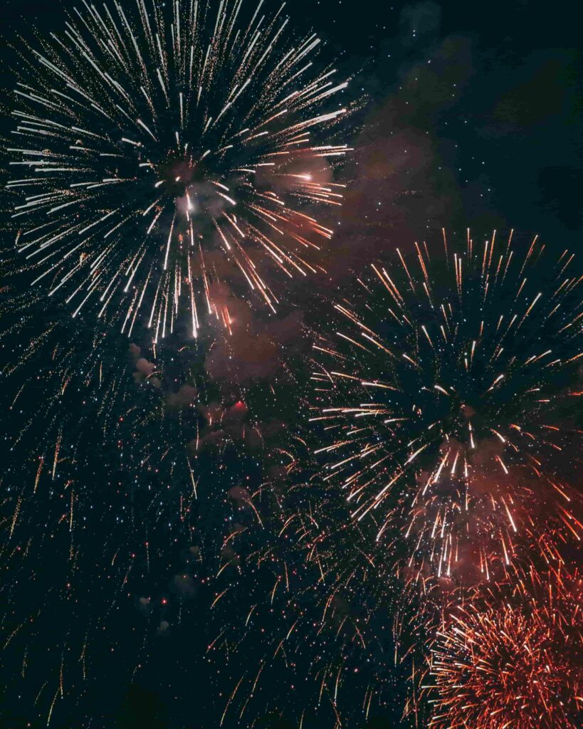 Colorful fireworks exploding in the dark night sky