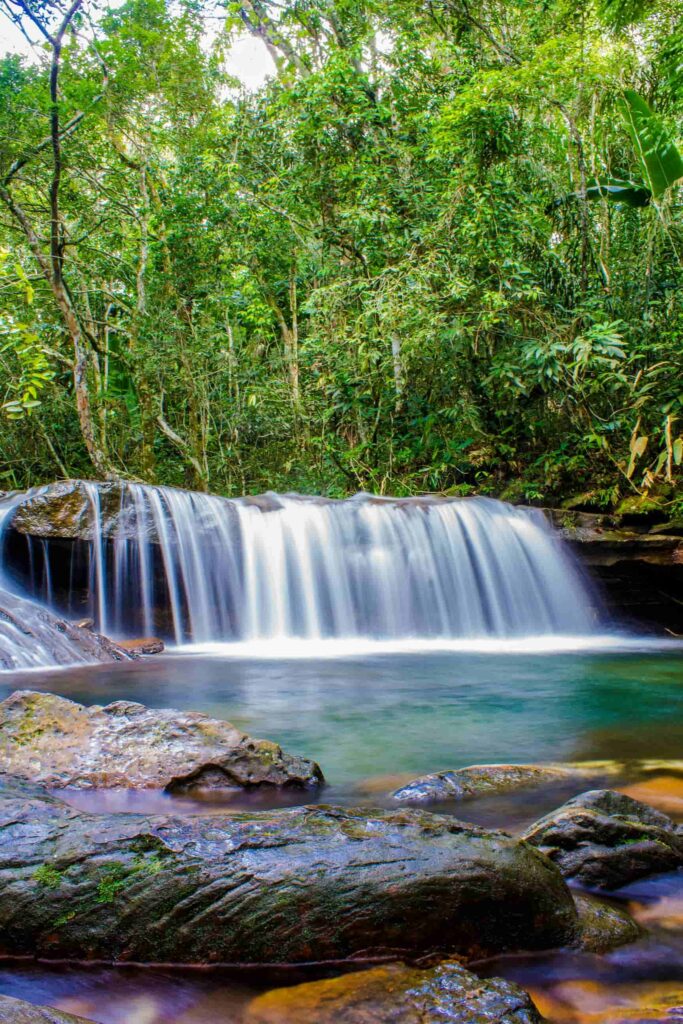 Small waterfall surrounded by dense jungle and tropical vegetation in San Jose del Guaviare, Colombia