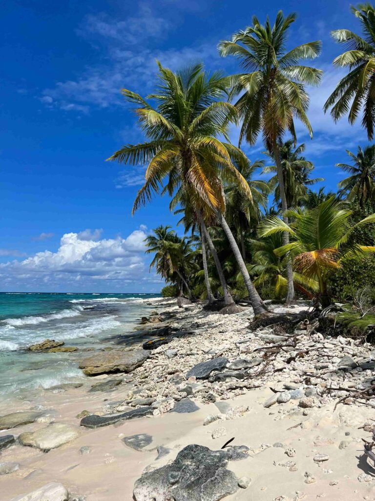 san-andres-beach-with-palm-trees-colombia Sunny beach in San Andres, Colombia, with palm trees and ocean.