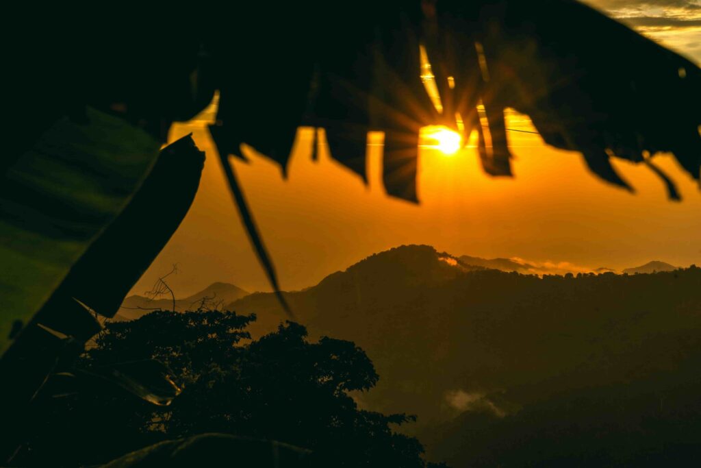 Sunset view of Minca mountains and tropical vegetation in Santa Marta, Colombia.