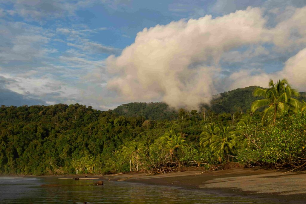 bahia-solano-beach-jungle-landscape Lush green jungle meeting the sea on a beach in Bahía Solano, Colombia.